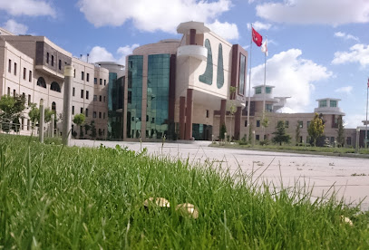 Nevşehir Hacı Bektaş Veli Üniversitesi