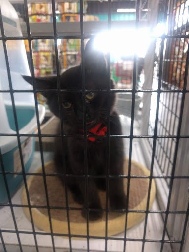 Pet Supply Store «Pet Supermarket», reviews and photos, 14044 Grant Rd Ste 200, Cypress, TX 77429, USA