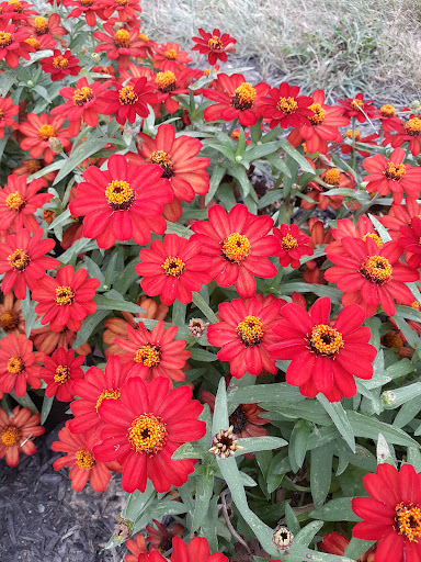 Visitor Center «PA Welcome Center I-81 North», reviews and photos, I-81, Greencastle, PA 17225, USA