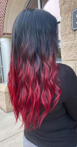 Hair Care «Don Franco Salons: Hair Company», reviews and photos, 2381 Hill Rd, Grand Blanc, MI 48439, USA