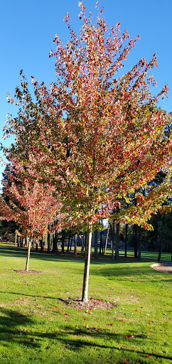 Park «Arnold Park», reviews and photos, 4155 SW 182nd Ave, Aloha, OR 97007, USA