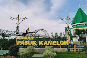 Pasuk Kameloh Park image