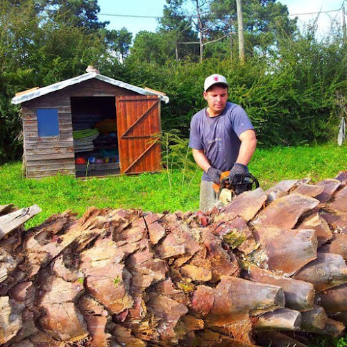 Avaliações doJulio Meireles - Abate de árvores e pinheiros em Almada - Jardinagem