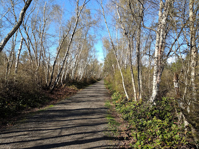 Shell Road Trail