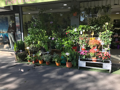 Fleur D'eden à Paris