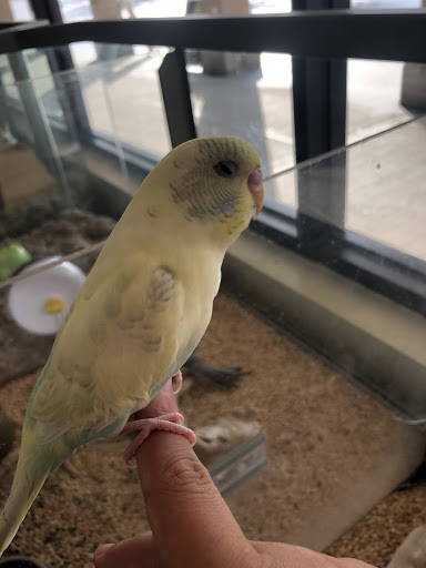 Pet Supply Store «Choice Pet - Danbury», reviews and photos, 67 Newtown Rd, Danbury, CT 06810, USA