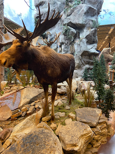 Sporting Goods Store «Bass Pro Shops», reviews and photos, 5900 Sugarloaf Pkwy, Lawrenceville, GA 30043, USA