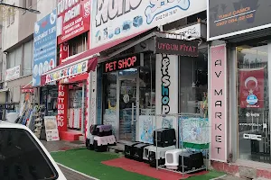 Sivas petshop Nunu pet shop & pet kuaför banyo ve traş image