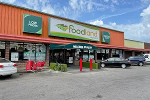 Foodland Markets image