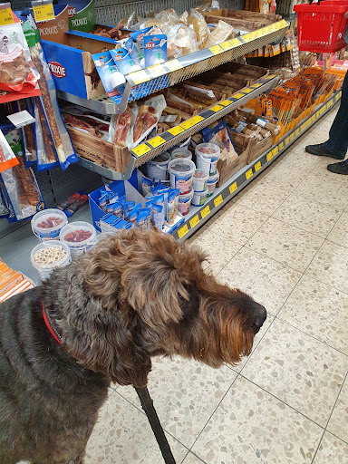 DAS FUTTERHAUS - Berlin-Wannsee unter Berlin, 