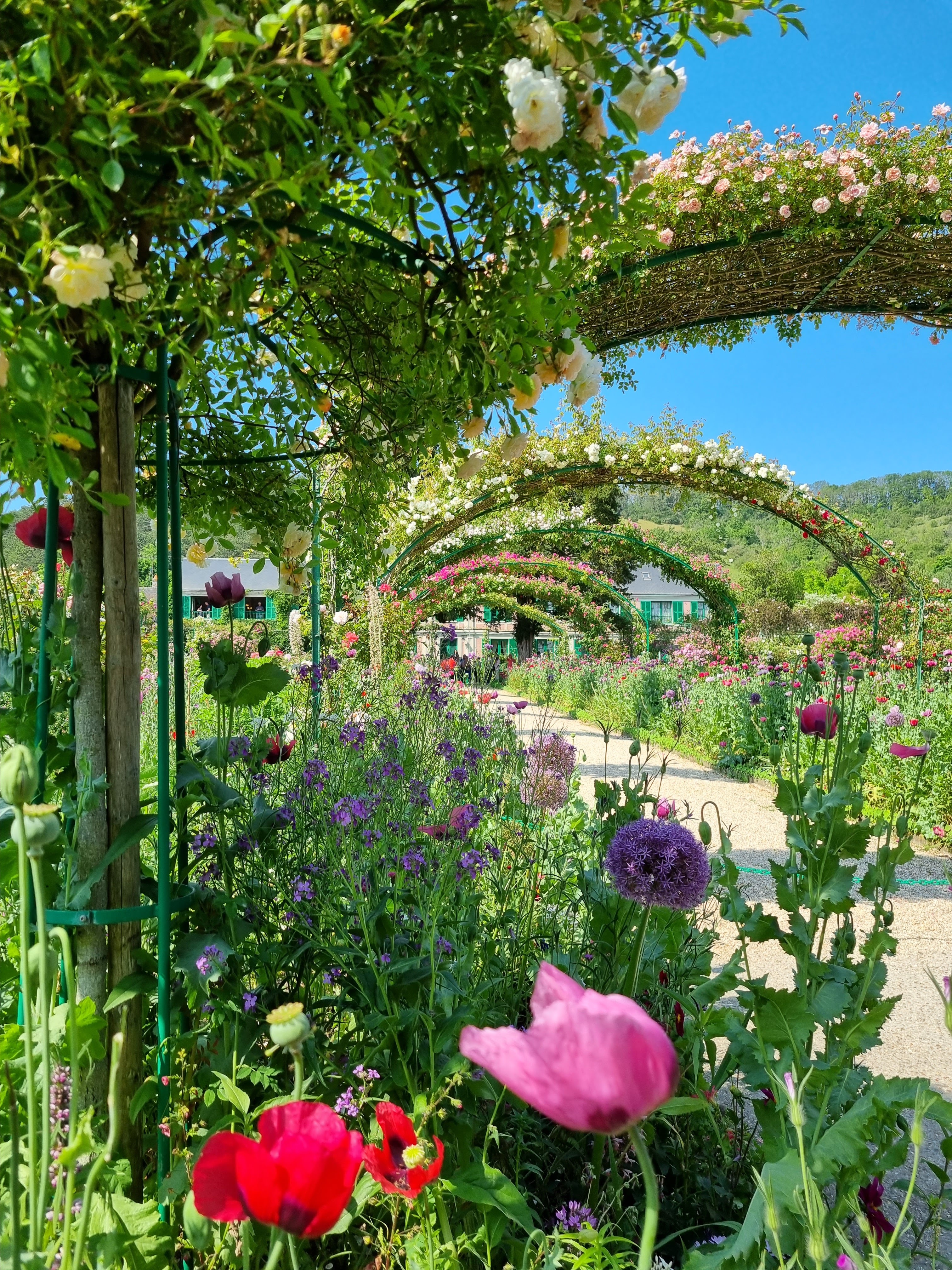 Photo n° 1 de l'avis de Sabine.o fait le 13/06/2023 à 19:16