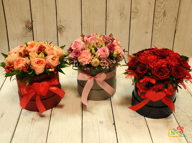 Comentarii opinii despre Galeria Kwiatów Dyplomowany Florysta Marta Książkiewicz-Włoch