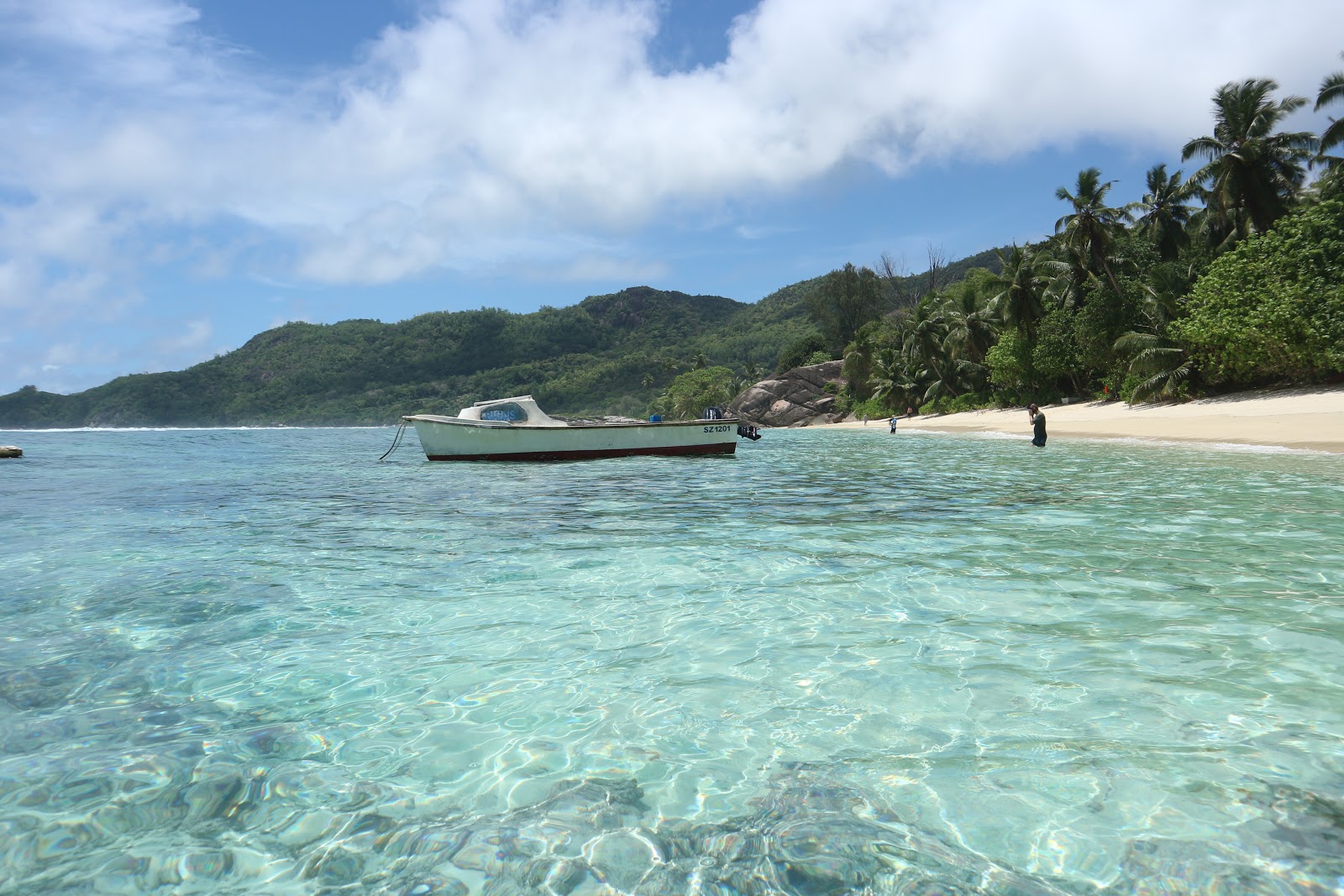 Anse Forbans Beach photo #8
