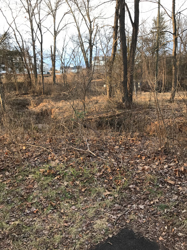 Water Park «Signal Bay Waterpark», reviews and photos, 9300 Signal View Dr, Manassas Park, VA 20111, USA