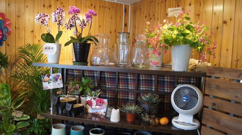 花屋つくし 兵庫県宝塚市武庫川町 花屋 グルコミ
