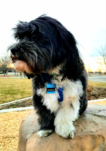 Pet Supply Store «Petco Animal Supplies», reviews and photos, 2210 N Eagle Rd, Meridian, ID 83646, USA