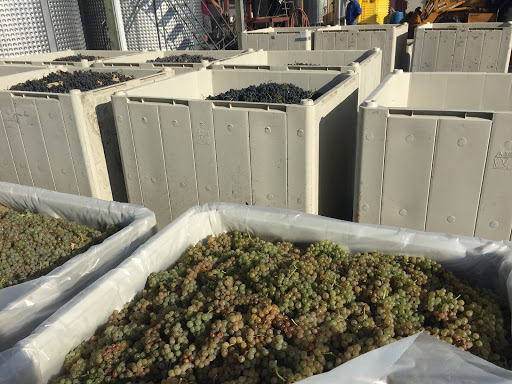 Winery «Valenzano Family Winery», reviews and photos, 1090 U.S. 206, Shamong, NJ 08088, USA