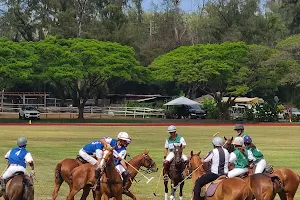 Honolulu Polo Club image
