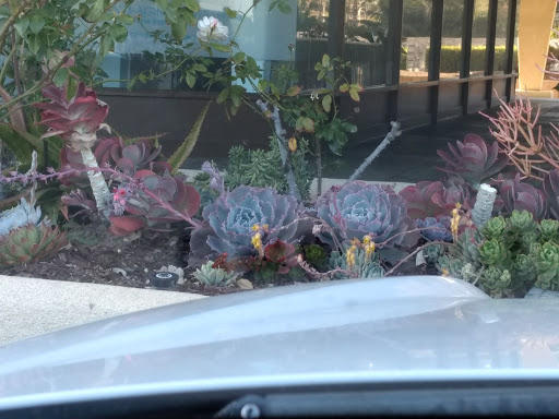 Tobacco Shop «Amsterdam Smoke Shop», reviews and photos, 5901 Warner Ave, Huntington Beach, CA 92649, USA