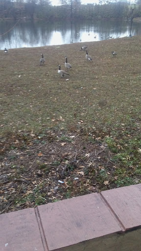 Motel Forge Inn Motel Reviews And Photos 1002 U S 9 Woodbridge Nj 07095 Usa