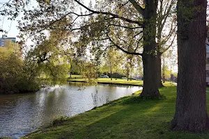 Hondenspeelplaats Wielwijkpark image