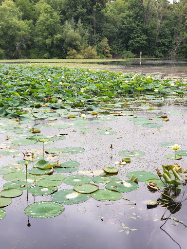 Golf Course «Fresh Pond Golf Course», reviews and photos, 691 Huron Ave, Cambridge, MA 02138, USA