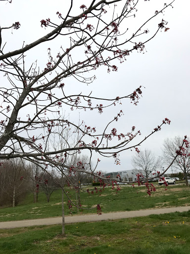 Park «Arthur K Draut Park», reviews and photos, Bowling Blvd, St Matthews, KY 40207, USA