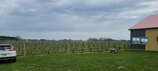 Winery «Red Top Winery», reviews and photos, 482 E Snow Rd, Baroda, MI 49101, USA