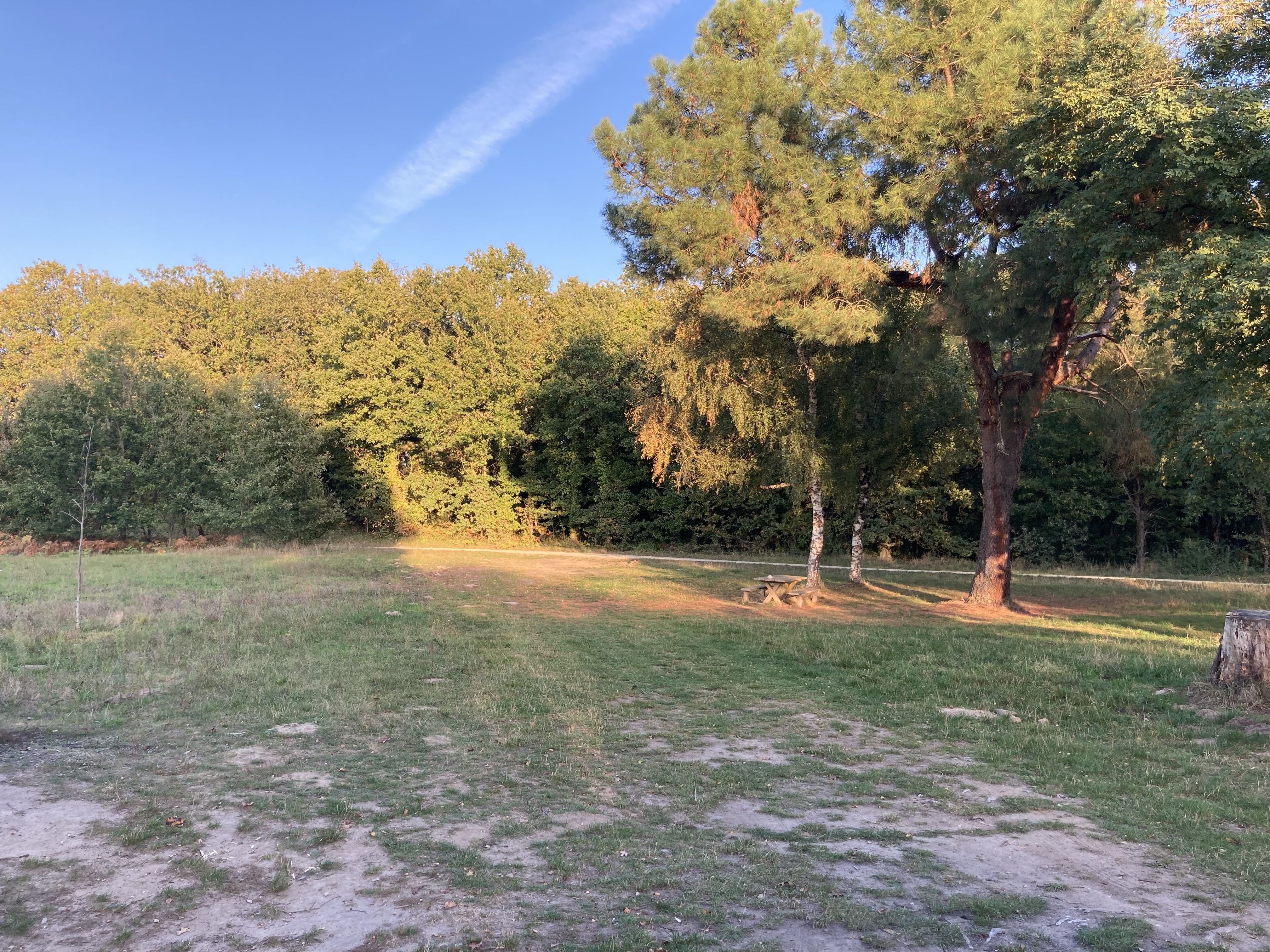 Photo n° 2 de l'avis de Jean-Baptiste.u fait le 19/10/2021 à 21:51
