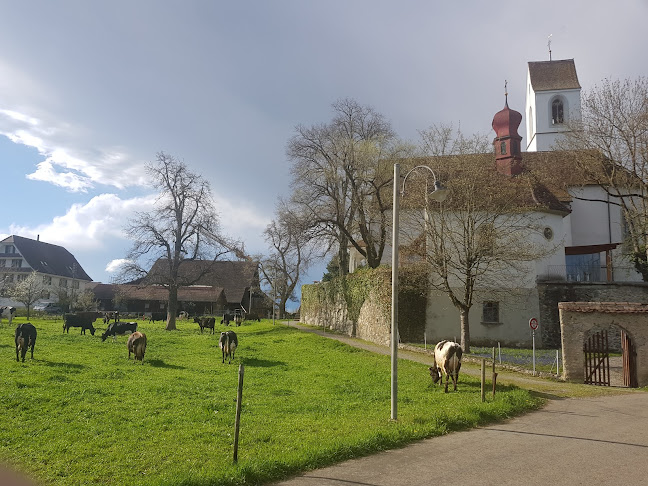 Kommentare und Rezensionen über Alte Kirche und Künstlerhaus