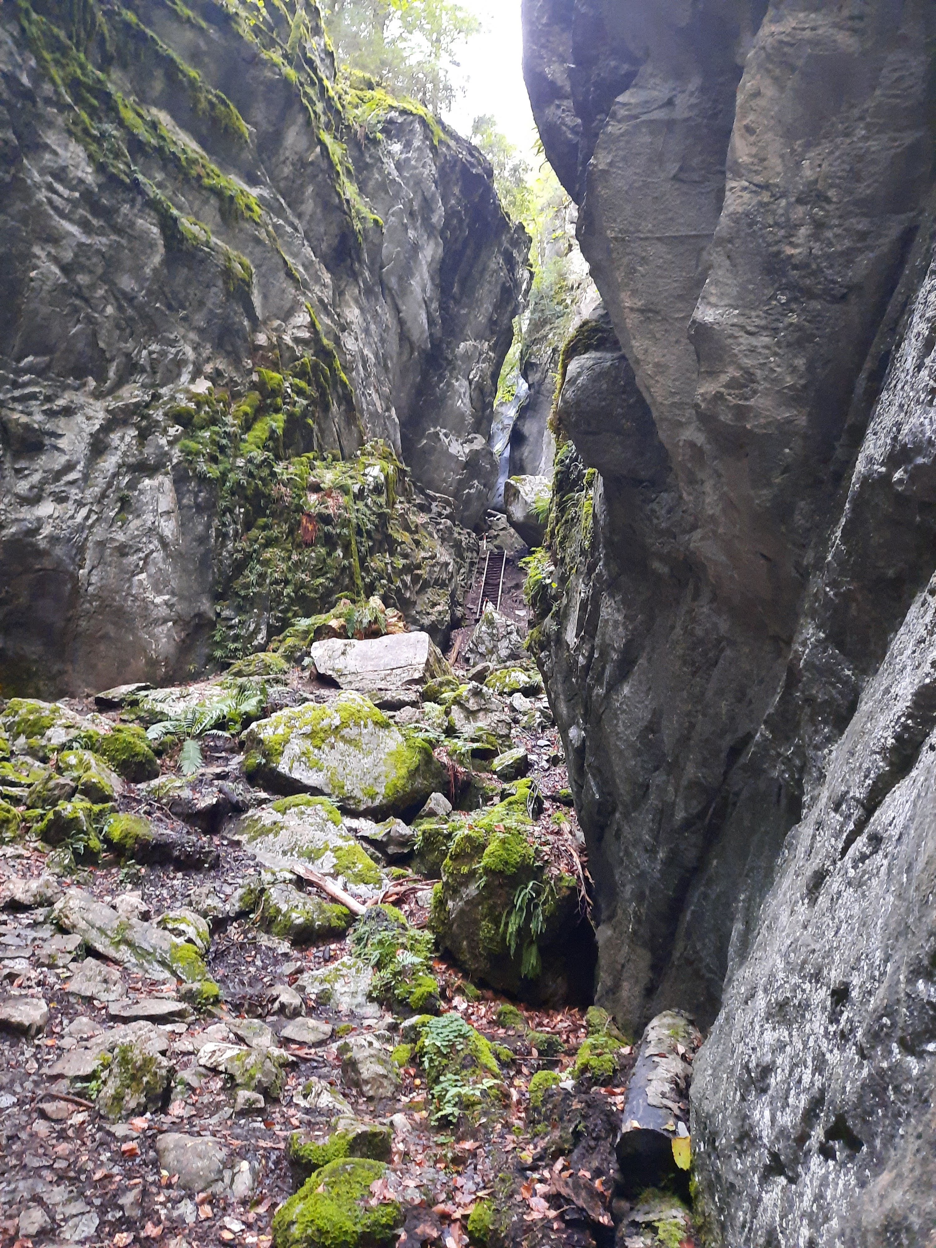 Photo n° 6 de l'avis de Corinne. fait le 18/09/2021 à 17:16