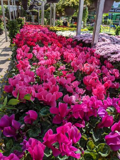 Home Improvement Store «The Home Depot», reviews and photos, 111 Shoreline Pkwy, San Rafael, CA 94901, USA