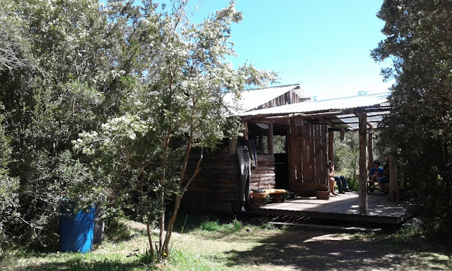 Comentarios y opiniones de Camping y Cabañas, Alto Puelo (ex cabalgatas)