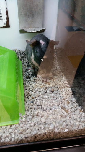 Pet Supply Store «Petco Animal Supplies», reviews and photos, 5850 Sepulveda Blvd, Van Nuys, CA 91411, USA