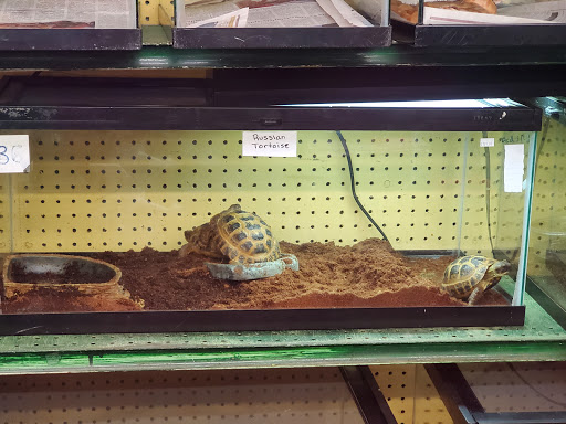 Pond Fish Supplier «Aquarium & Imports Inc.», reviews and photos, 2639 Hendersonville Rd, Arden, NC 28704, USA