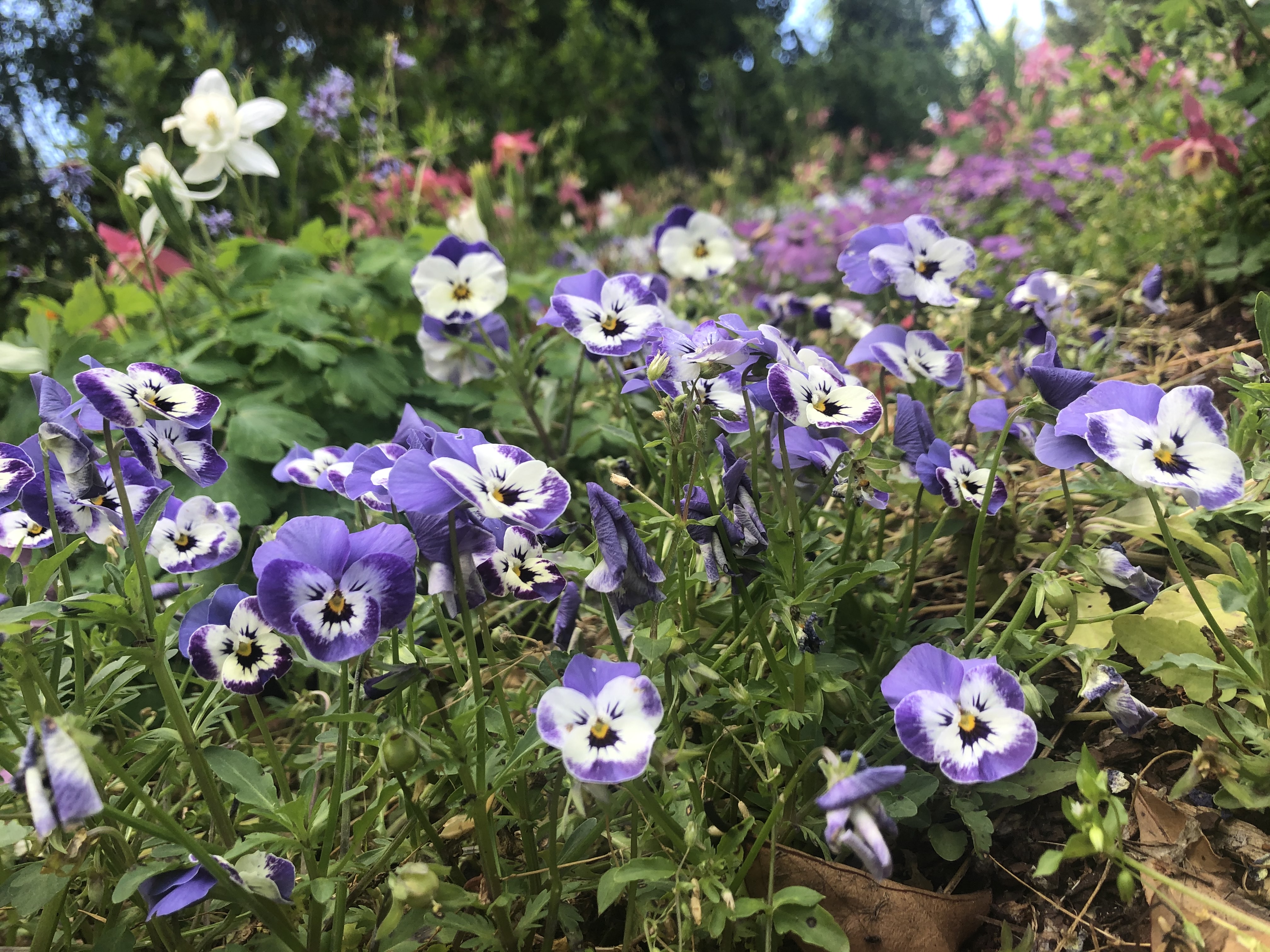 Photo n° 20 de l'avis de Sambassa.y fait le 25/05/2021 à 09:58