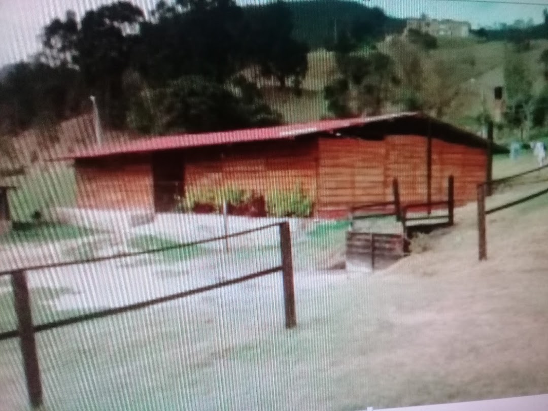 Pesebrera pamplonita