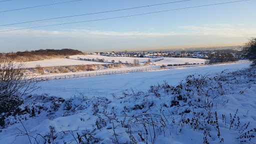 Barr Beacon Local Nature Reserve