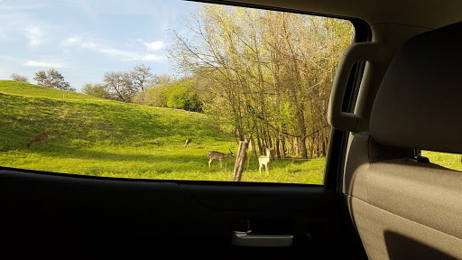 Public Golf Course «Landa Park Golf Course at Comal Springs», reviews and photos, 180 Golf Course Rd, New Braunfels, TX 78130, USA