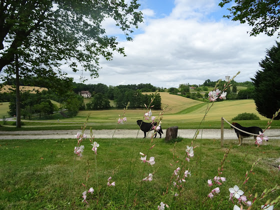 Photo Hébergement d'intérieur Gîtes de Pechcaillou 47300 Villeneuve-sur-Lot