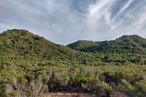 Del Mar Mesa Preserve image