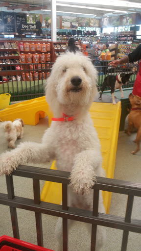 Pet Supply Store «Pet Food Express», reviews and photos, 9153 W Olympic Blvd, Beverly Hills, CA 90212, USA