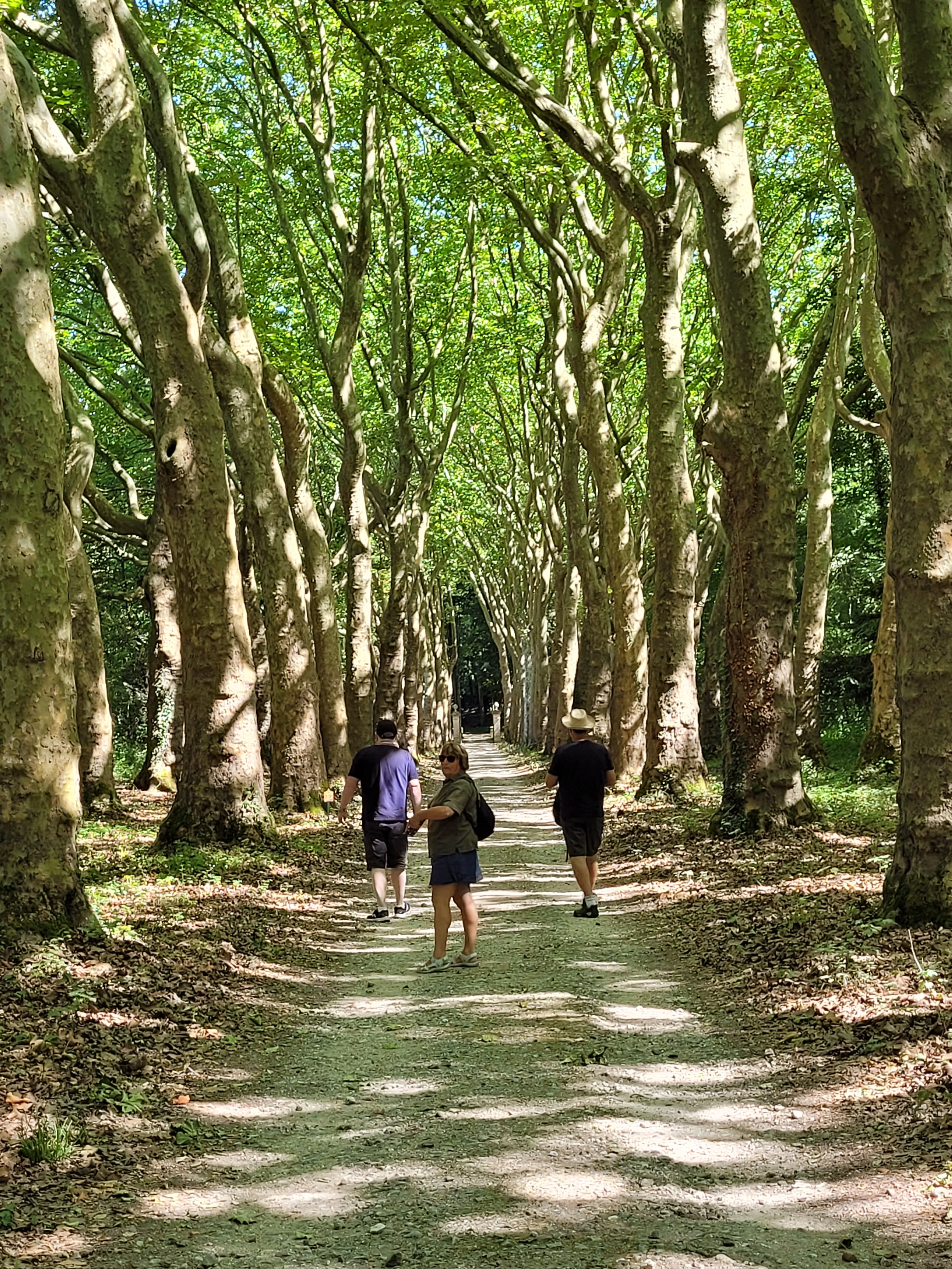 Photo n° 1 de l'avis de Anne.o fait le 09/08/2022 à 12:35