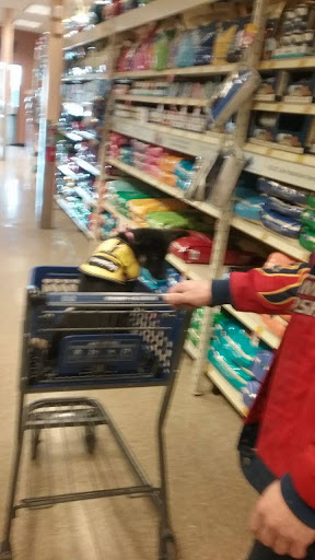 Pet Supply Store «PetSmart», reviews and photos, 4327 Genesee Valley Plaza, Geneseo, NY 14454, USA