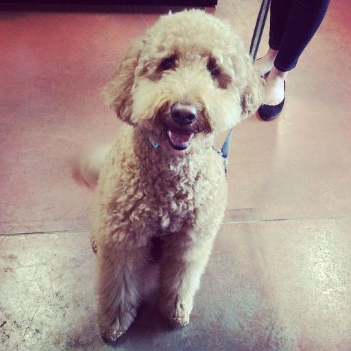 Pet Store «Exclusive Pet Supply», reviews and photos, 21829 NE Halsey St, Fairview, OR 97024, USA