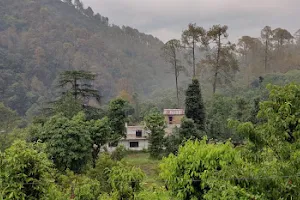 Old Riya valley Jeolikote Nainital Uttarakhand image