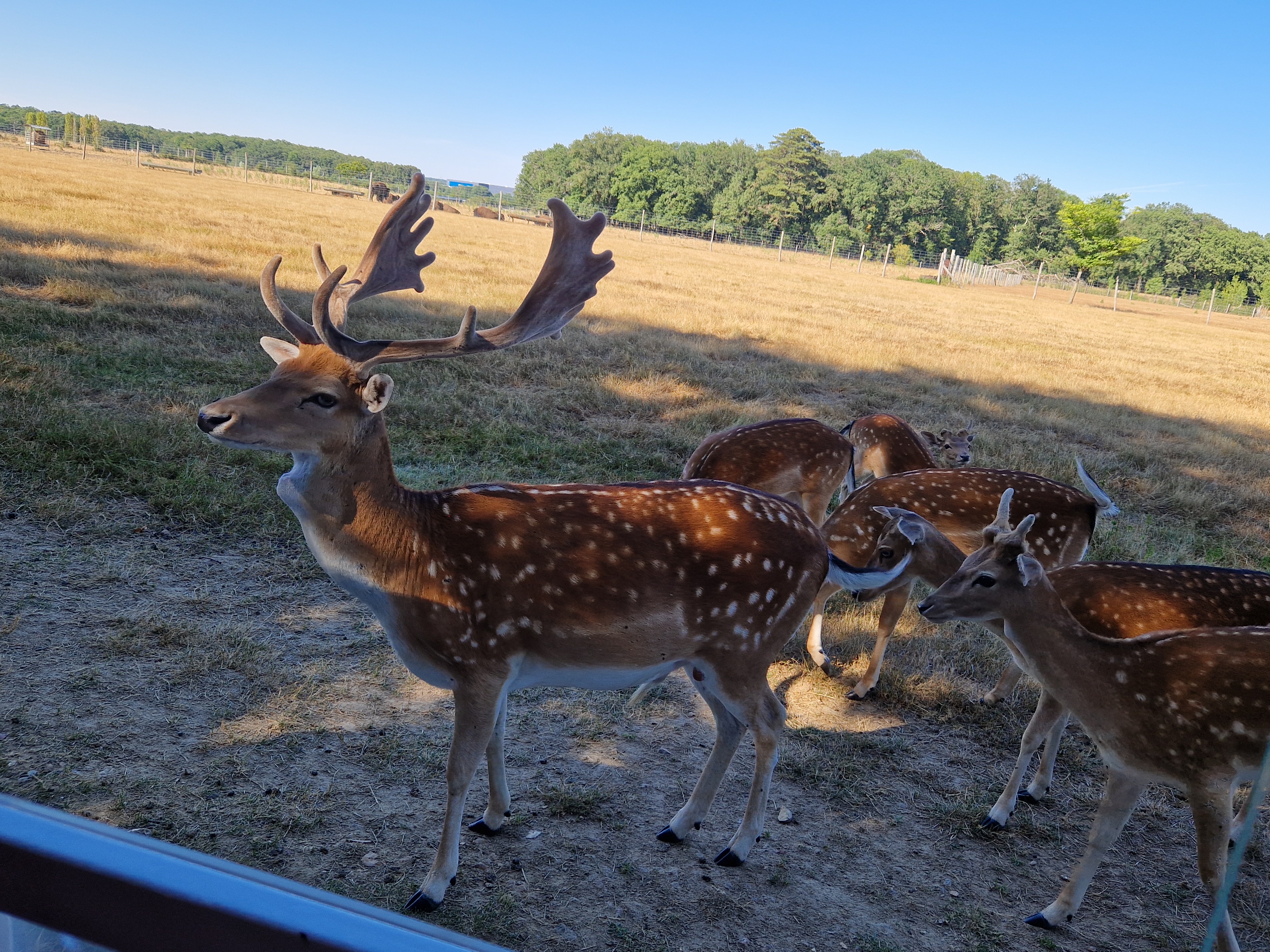 Photo n° 3 de l'avis de Elodie. fait le 27/07/2022 à 20:42