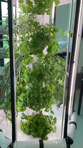 Aerospring Hydroponics