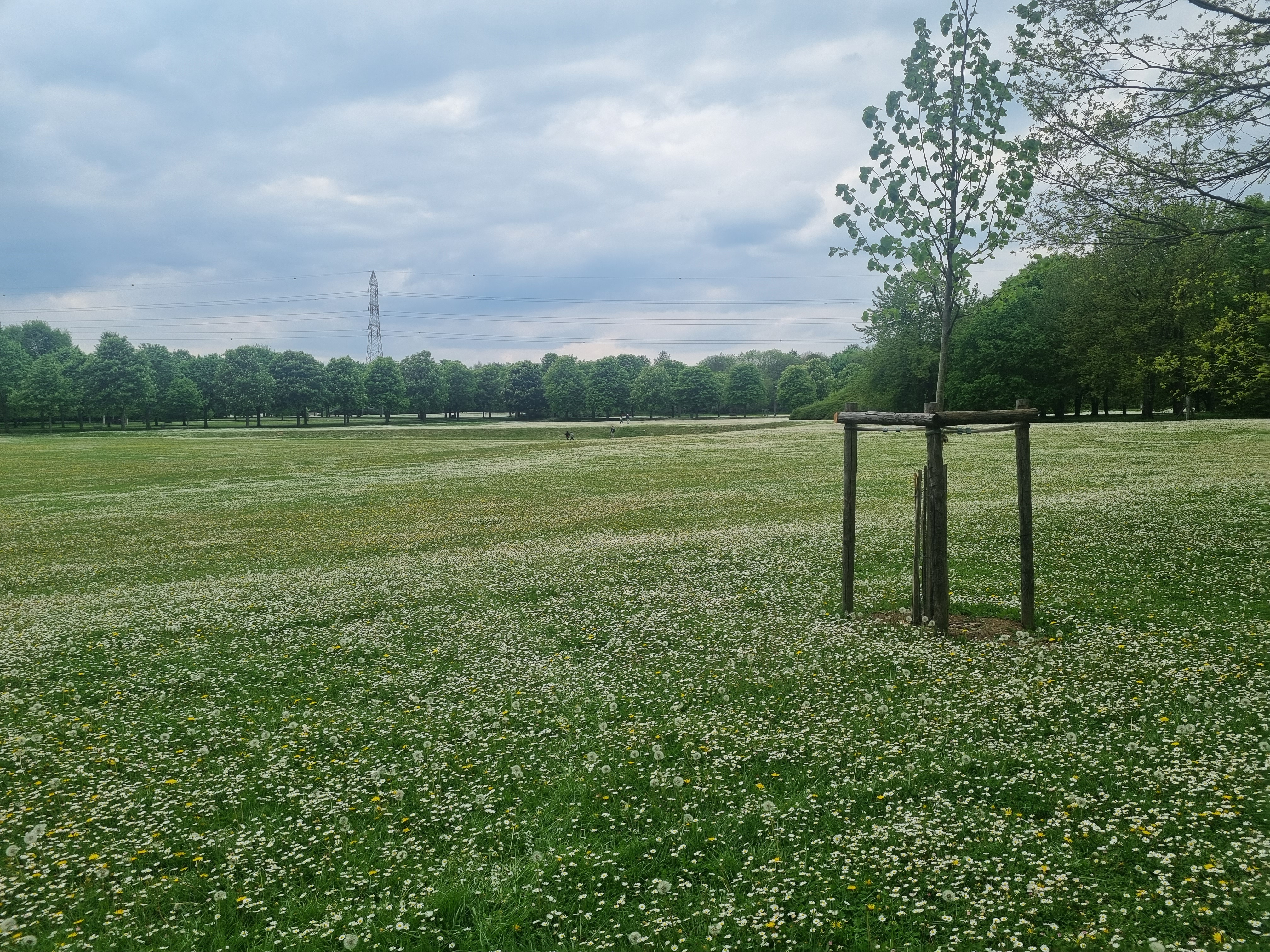 Photo n° 2 de l'avis de Angélique.R fait le 01/05/2022 à 09:39