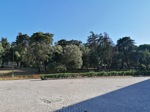 Estádio Universitário de Lisboa - Pavilhão de Combate